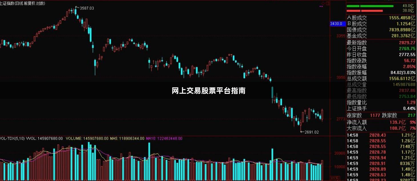 网上交易股票平台指南